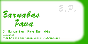 barnabas pava business card